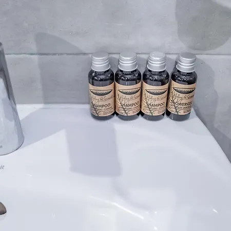 Lion King Lesya Appartement